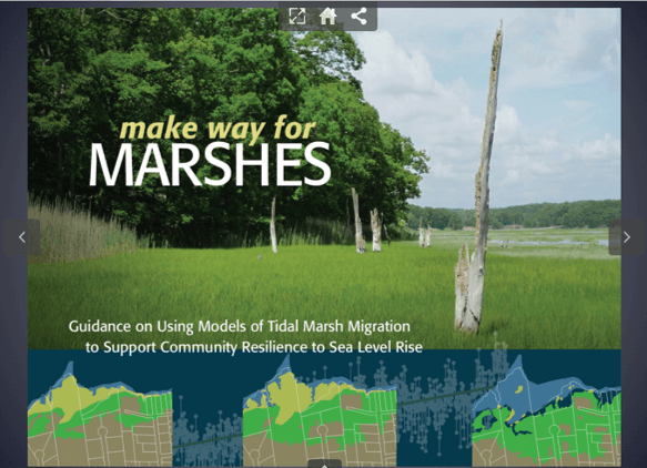 Make Way for Marshes Title Thumbail Make Way for Marshes