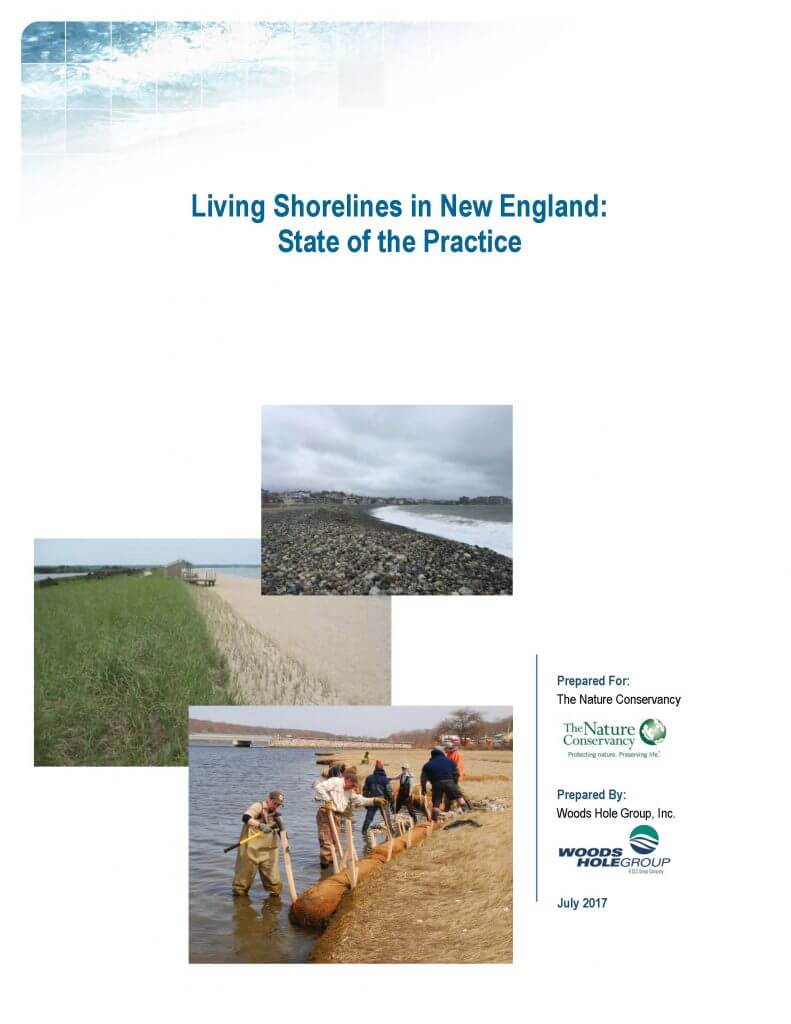 Living Shorelines State of the Practice